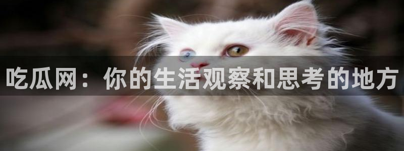 吃瓜下载