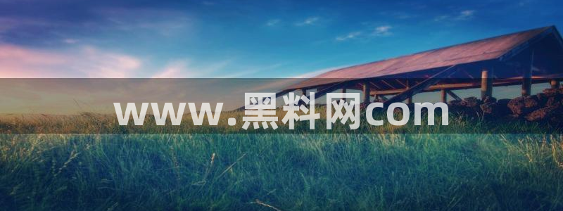 51吃瓜网热门大瓜:www.黑料网com
