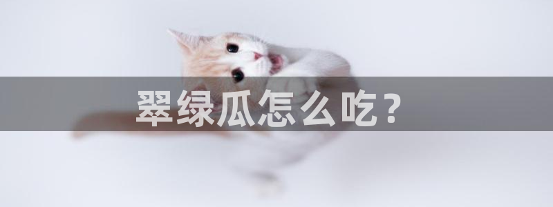 吃瓜电影
