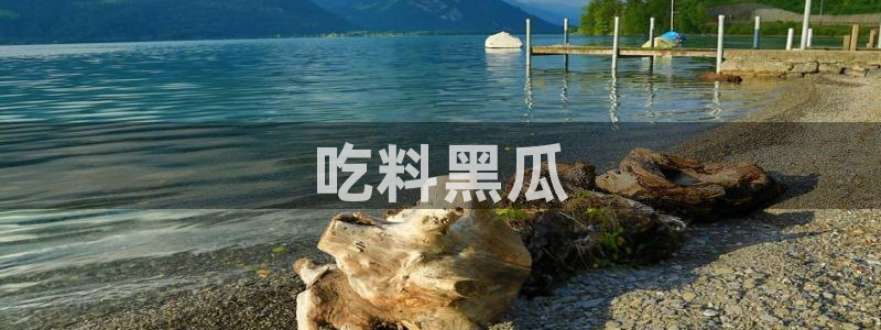51吃瓜短剧张越女主：吃料黑瓜