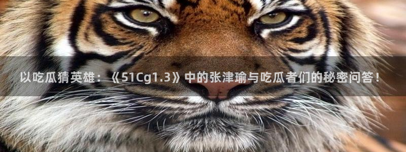 长生武道:从九龙夺嫡开始吃瓜：以吃瓜猜英雄：《51Cg1.3》中的张津瑜与吃瓜者们的秘密问答！