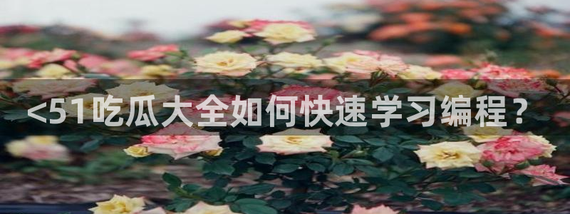 高血糖可以吃籽瓜吗：<51吃瓜大全如何快速学习编程？