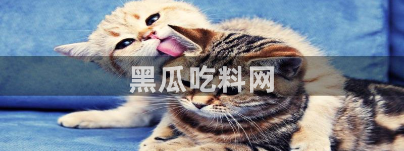 各种网红爆料吃瓜网站:黑瓜吃料网