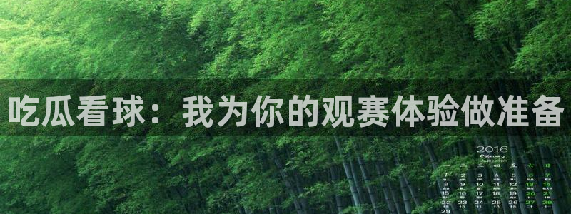24小时吃瓜不间断:吃瓜看球:我为你的观赛体验做准备
