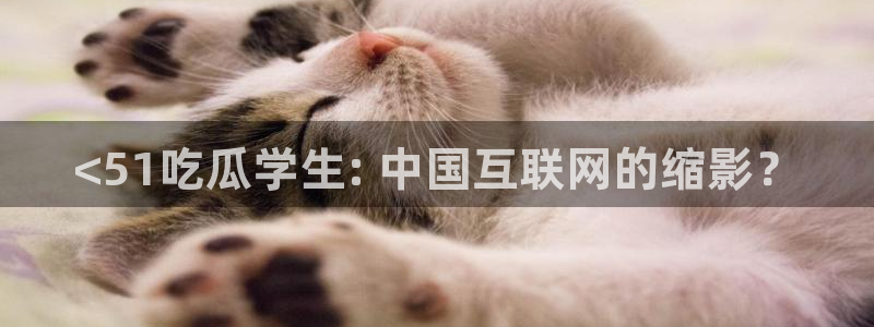高血糖能吃籽瓜吗：<51吃瓜学生: 中国互联网的缩影？