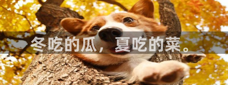 51吃瓜网今日吃瓜入口