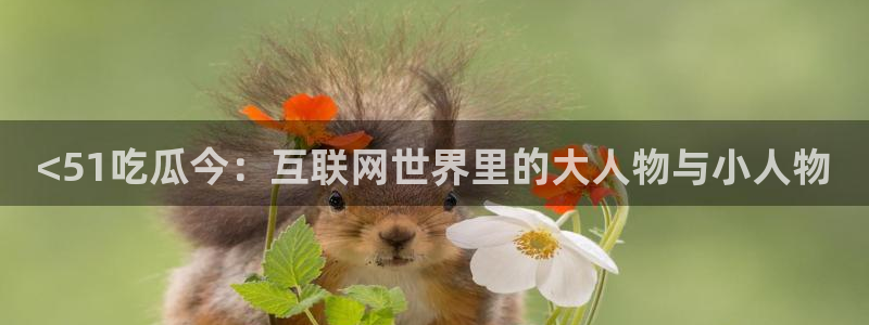 吃瓜喉咙痒怎么办:<51吃瓜今:互联网世界里的大人物与小人物