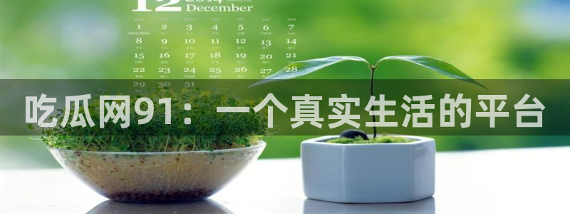 www.吃瓜.com:吃瓜网91:一个真实生活的平台