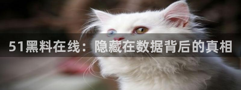 91吃瓜网今日吃瓜入口：51黑料在线：隐藏在数据背后的真相