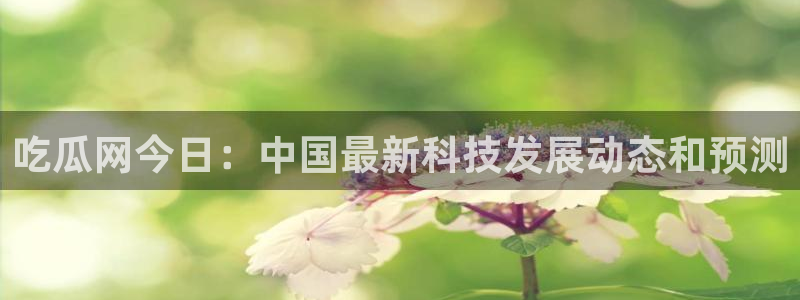今日黑料：吃瓜网今日：中国最新科技发展动态和预测
