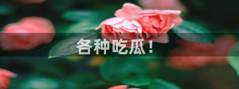 51吃瓜备用线路:各种吃瓜!