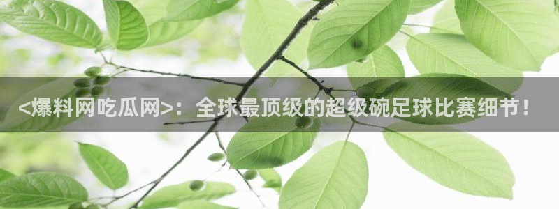 黑料：<爆料网吃瓜网>：全球最顶级的超级碗足球比赛细节！