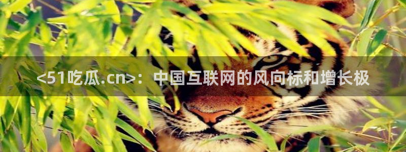 51吃瓜网ccgg:<51吃瓜.cn>:中国互联网的风向标和增长极