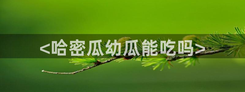 51吃瓜网今日榜单:<哈密瓜幼瓜能吃吗>