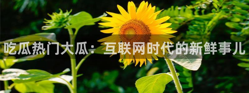吃瓜电影：吃瓜热门大瓜：互联网时代的新鲜事儿