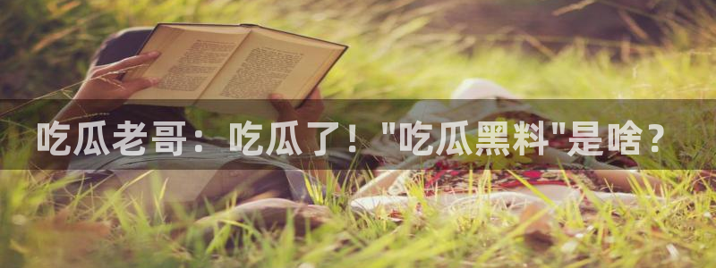 黑料专区:吃瓜老哥:吃瓜了!\