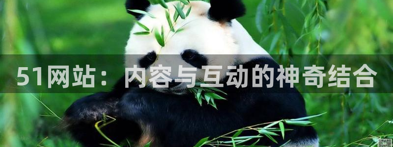 51吃瓜 张津瑜 网:51网站:内容与互动的神奇结合