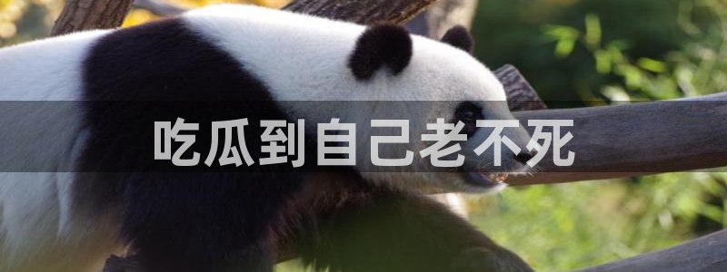 911爆料网红吃瓜:吃瓜到自己老不死