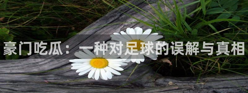 长生武道:从九龙夺嫡开始吃瓜：豪门吃瓜：一种对足球的误解与真相