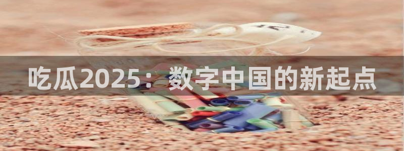 51吃瓜今日必吃刀刀:吃瓜2025:数字中国的新起点